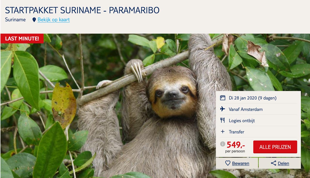 Individuele rondreis SurinameParamaribo 9 dagen » Ticket Suriname