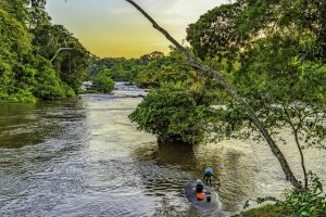 16-daagse rondreis Suriname Compleet 2 192FFF73BB24EBC07A006A68076D099E