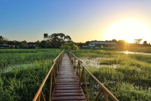 10 daagse fly drive a taste of Suriname 2 C6A82313EAB07B92E26EAF5531DE1CDA
