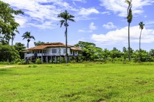 11-daagse rondreis A Taste of Suriname 2 8FEA0069D7642D8ED9D35E470F8E5289