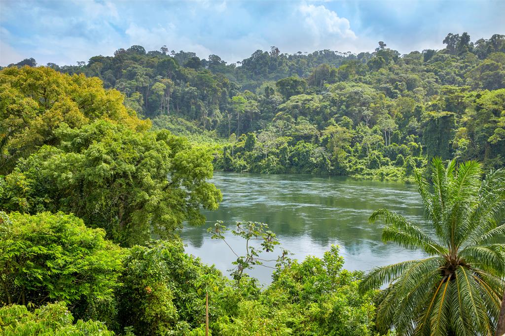 16 daagse fly drive Suriname Compleet 1 16 daagse fly drive Suriname Compleet