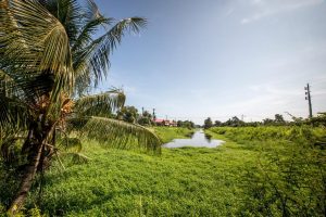 A8232CD0411A19EAAD9B2AA98FDE13E9