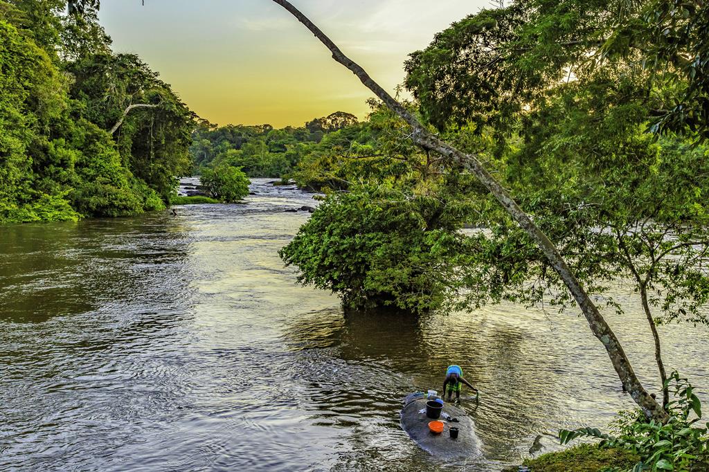 16-daagse rondreis Suriname Compleet 1 16-daagse rondreis Suriname Compleet